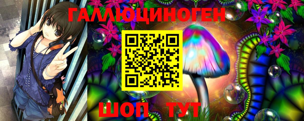 Псилоцибиновые грибы мицелий  как найти   Белгород  Вход с VPN 