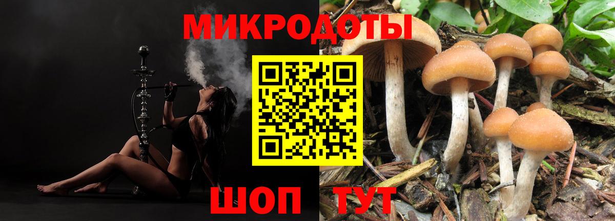 Псилоцибиновые грибы прущие грибы Белгород